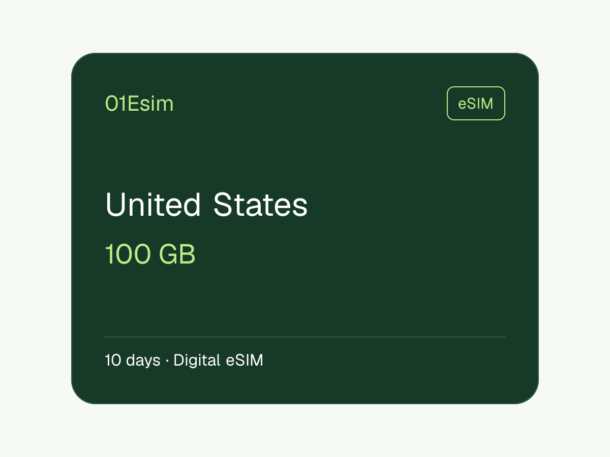 eSIM: Estados Unidos · 100 GB · 10 días